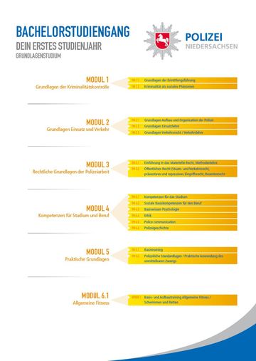 Curriculum Studienjahr 1