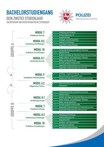 Curriculum Studienjahr 2