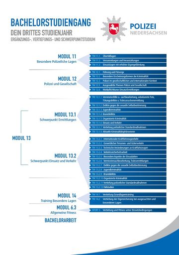 Curriculum Studienjahr 3